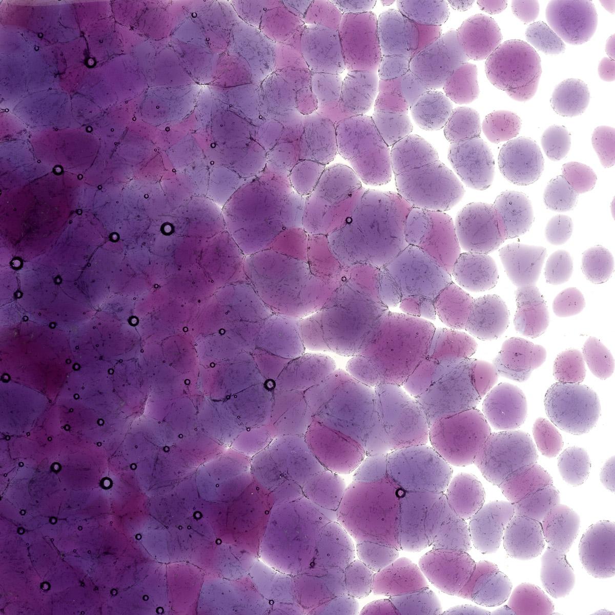 Featured image for “Violet Striker Transparent, Coarse Frit 001234-0003-F_01”