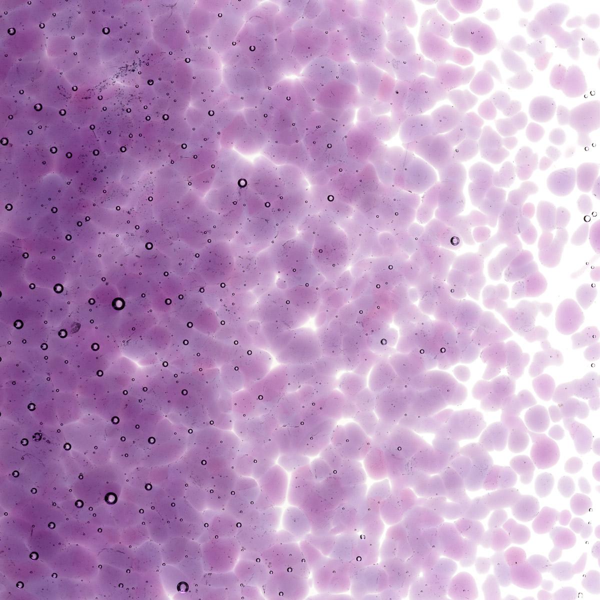 Featured image for “Violet Striker Transparent, Medium Frit 001234-0002-F_01”