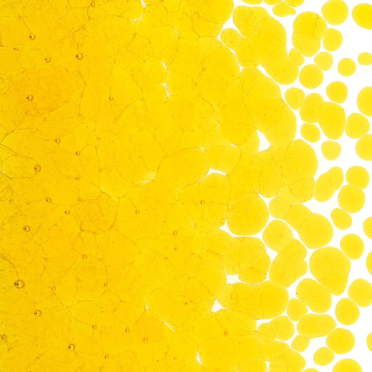 Featured image for “Yellow Transparent, Coarse Frit 001120-0003-F_01”