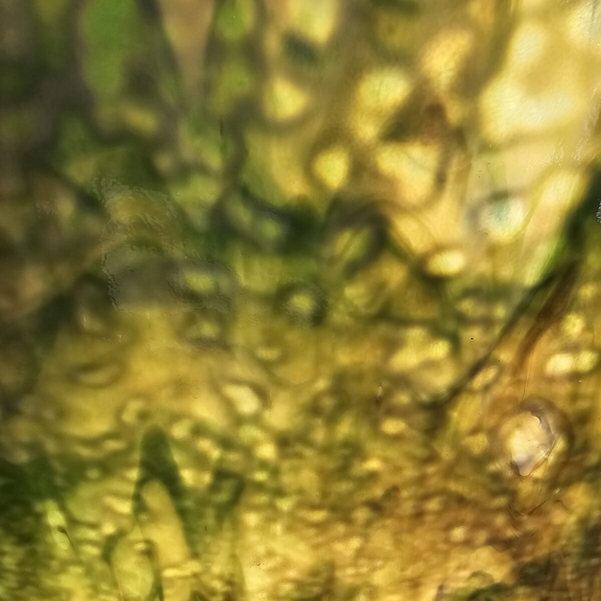 Featured image for “Youghiogheny Landscape RG”