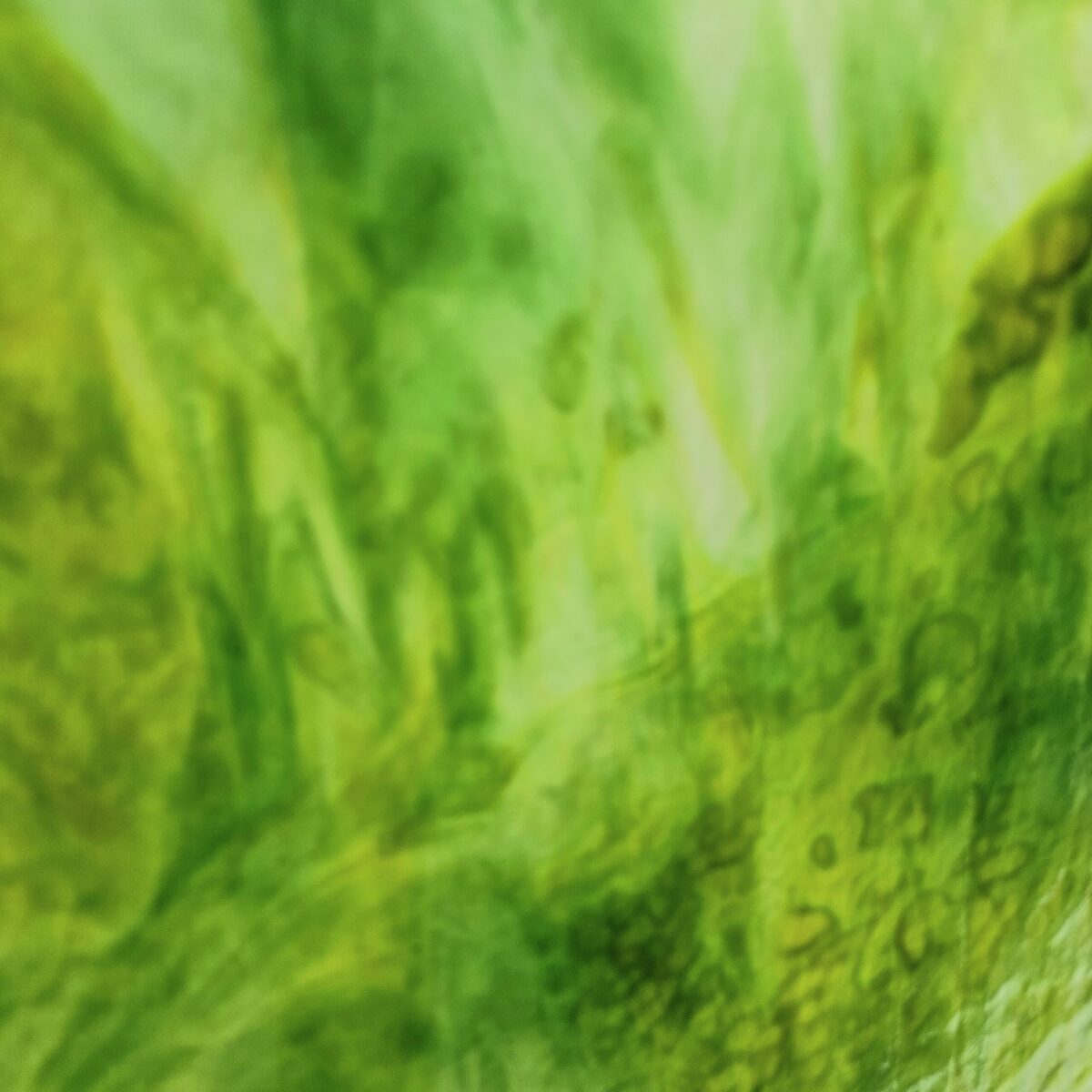 Featured image for “Youghiogheny 1431, SP Green and White Stipple”