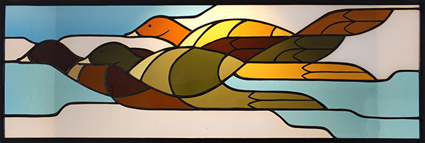 Featured image for “Ducks”