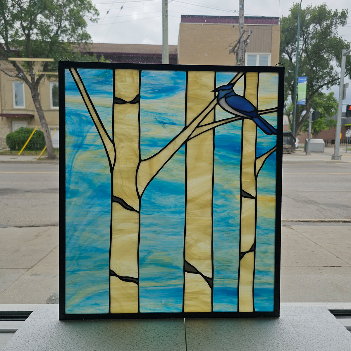 Featured image for “Blue Jay and Birch Trees”