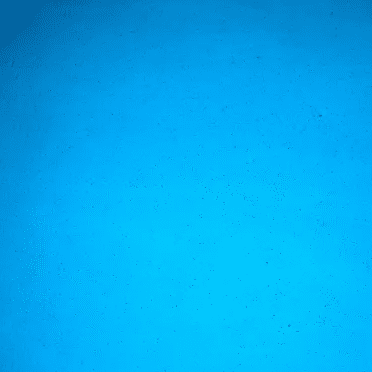 Featured image for “Mediterranean Blue PW342DR”