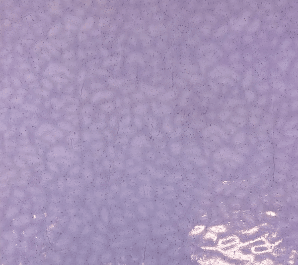 Featured image for “Paul Wissmach Lilac EM 4218”